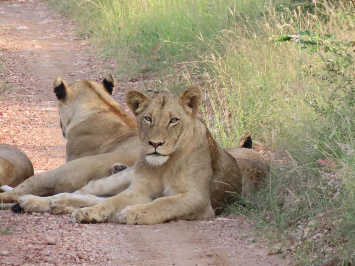 Muweti Bush Lodge Grietjie Game Reserve ภายนอก รูปภาพ