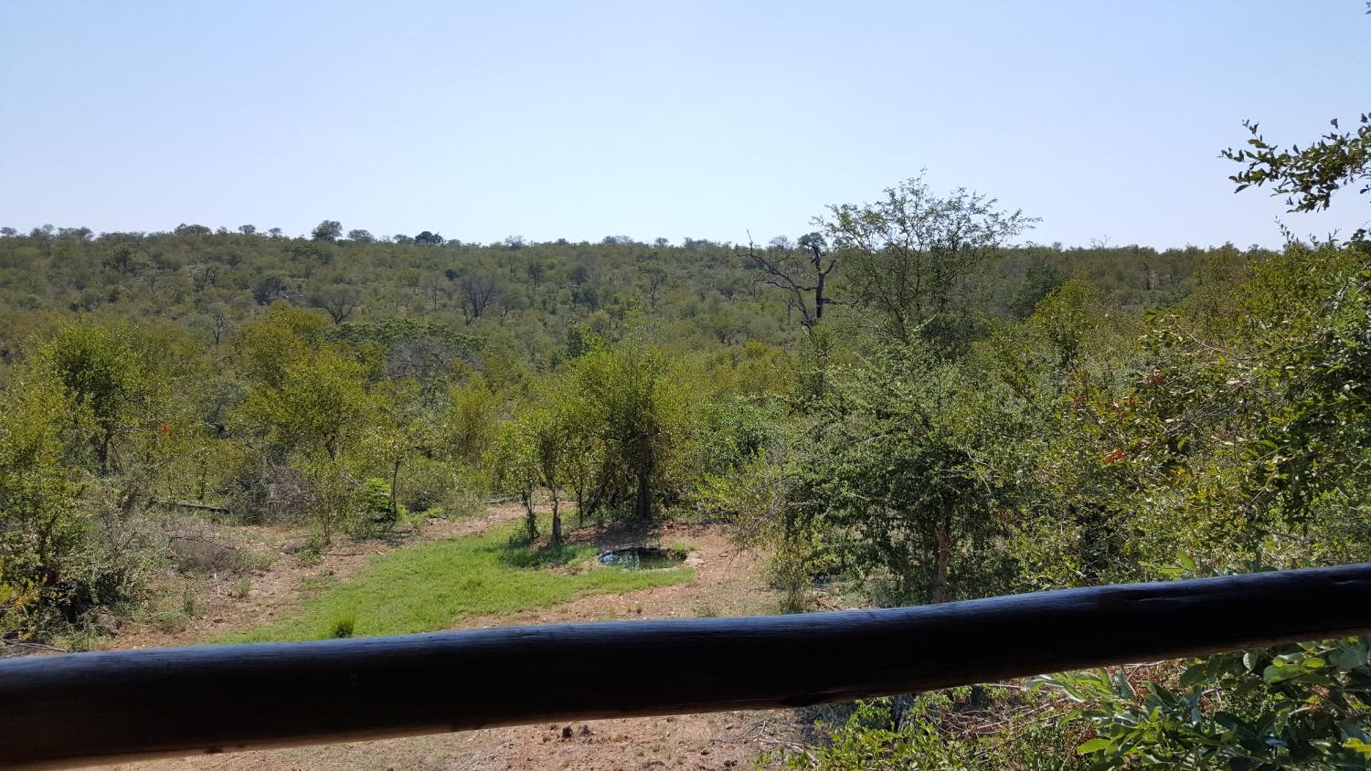 Muweti Bush Lodge Grietjie Game Reserve ห้อง รูปภาพ