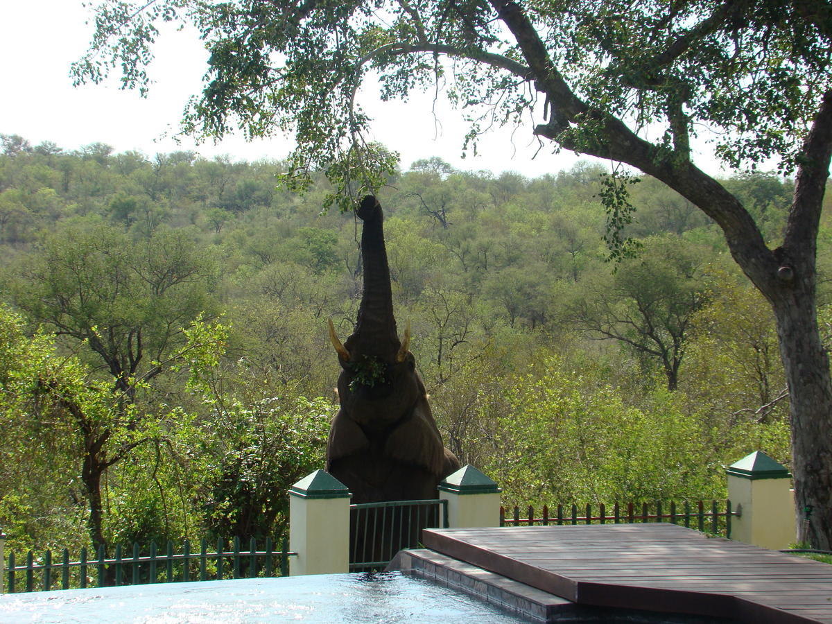 Muweti Bush Lodge Grietjie Game Reserve ภายนอก รูปภาพ